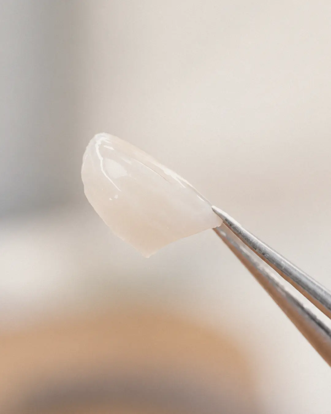 A finished veneer held in fine tweezers