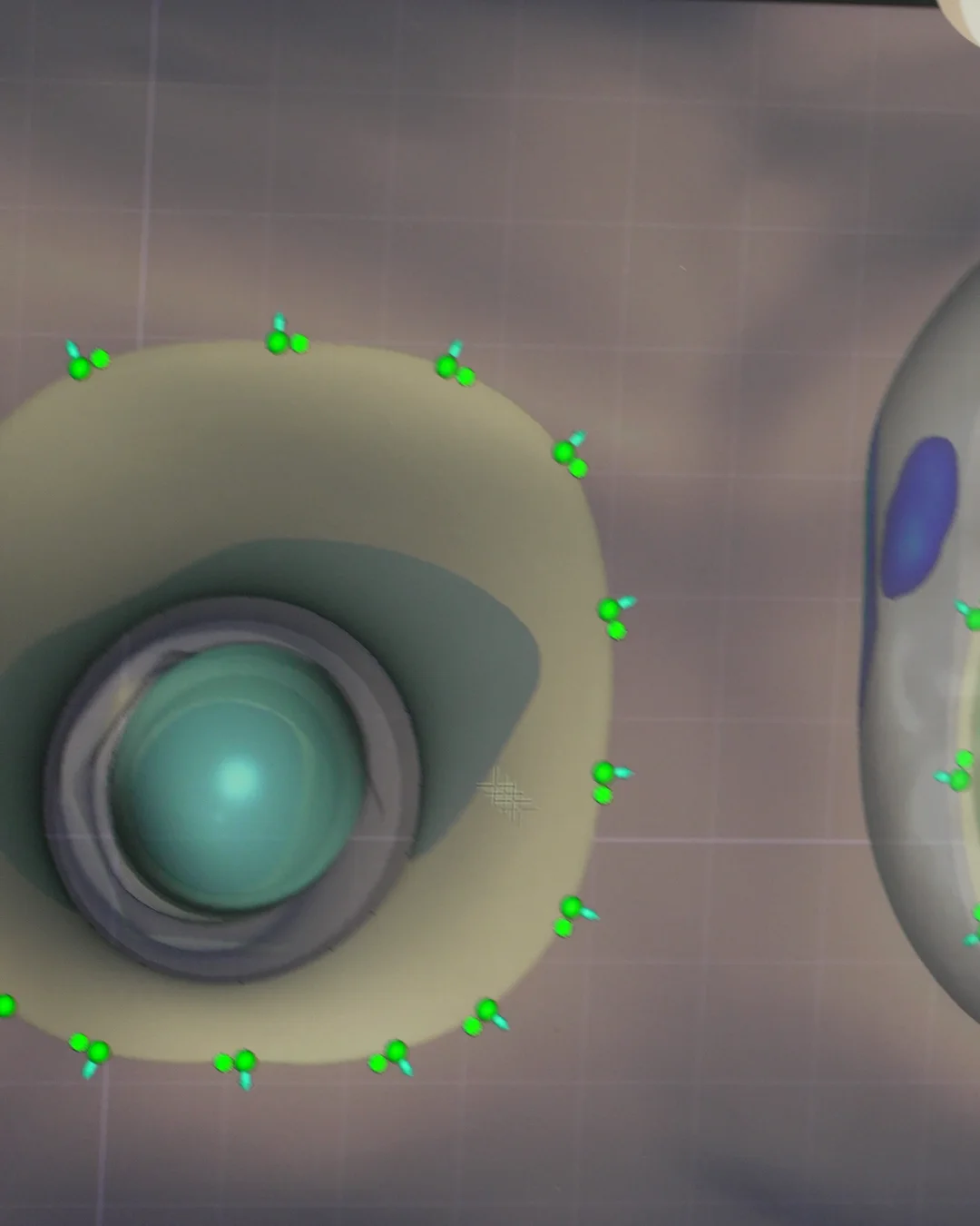 The margin around an implant marked point by point in CAD
