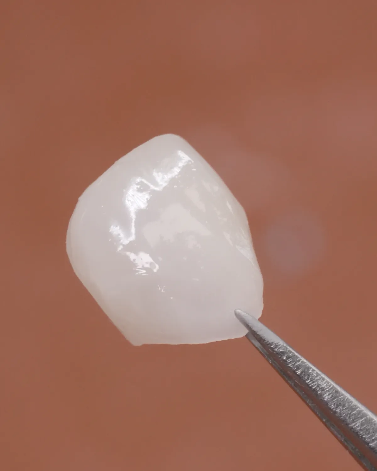 A single pressed E.max veneer held in tweezers