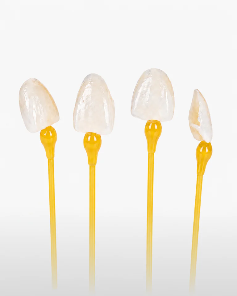 Cosmetic Solutions