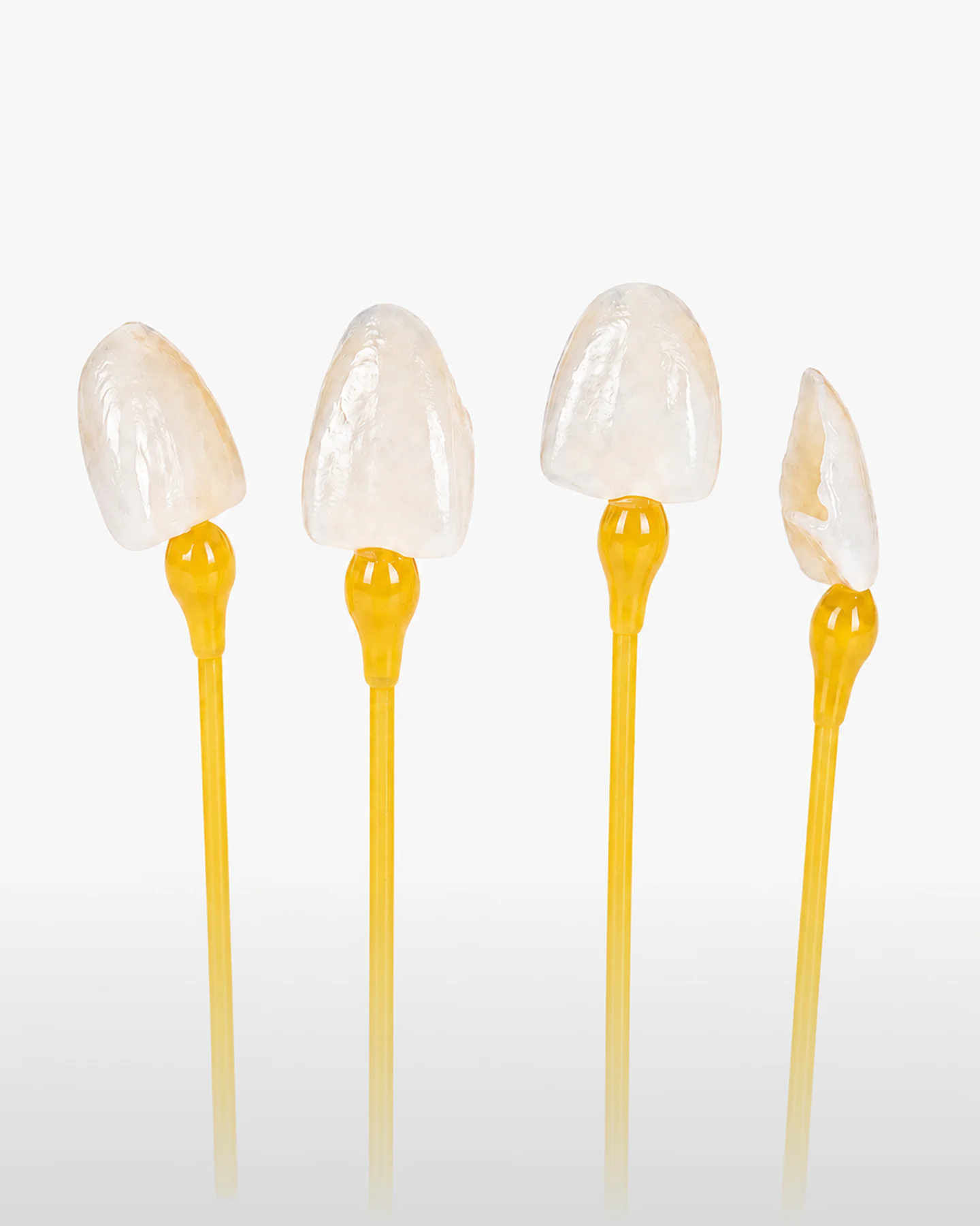 Cosmetic Solutions