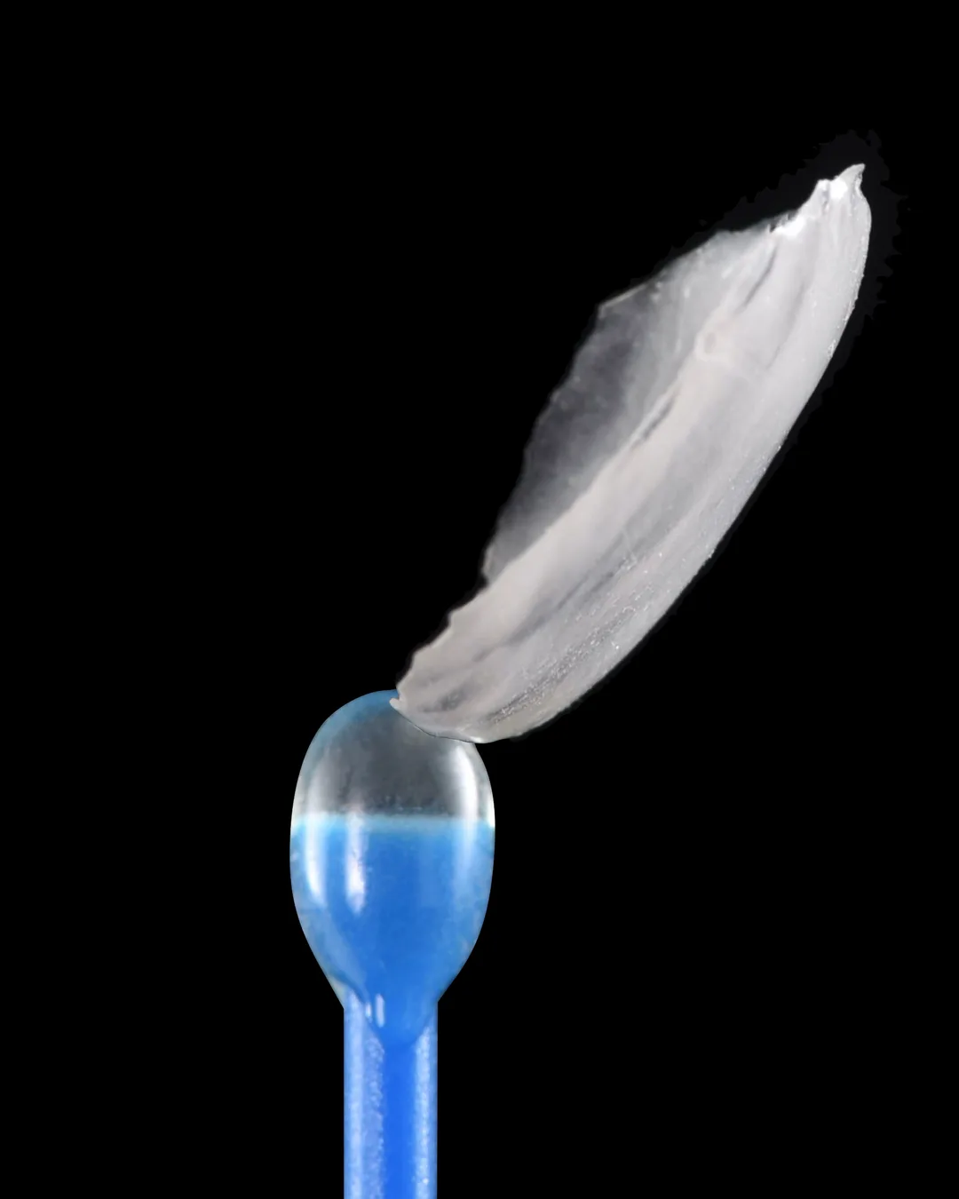 A single feldspathic veneer lifted on a layering tool against black